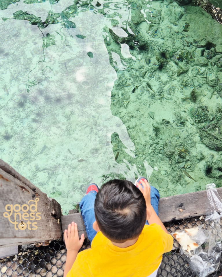 clear house reef , Sabah